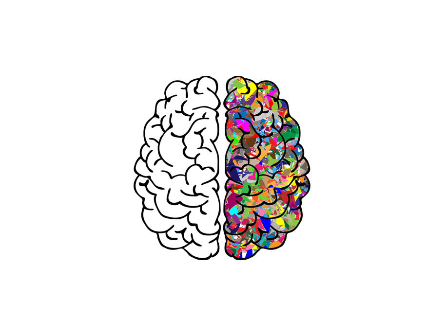 cropped-brain-sm_1.png